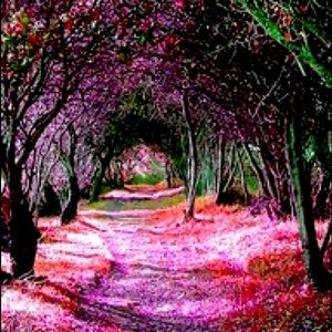 🧚♀️The “PoshPathway”